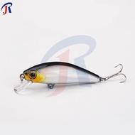 R.joy - Lures & Baits Sinking Minnow Fishing(5.5cm/6g) Mini Treble Hook Lure Baits Casting Pancing F