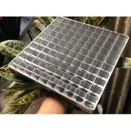 Brownie Pan and Dividers 100 Holes Size 25x25x4 Cm Non-Stick Divider Pan/ Non-Stick Brownie Sponge M