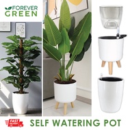 Self watering pot Planter pot watering pot pvc real plant pot white plastic Pot living room decoration simple big plant