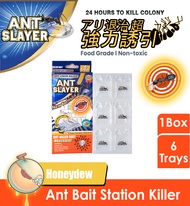 Ant Slayer Eco-Friendly Honeydew Ant Bait Station Multi-Pack Food Grade Non-Toxic Insect Killer 6 Tr