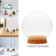 [In Stock] with Base Valentine's Day Decoration Glass Cloche Ball Jar Dome