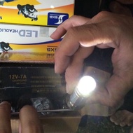 2-Point Headlight Bulb Grade A (Waterproof) (BLUE) 1