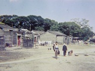香港幻燈片-1960年代英屬香港新界上水松柏塱村舊貌幻燈片
