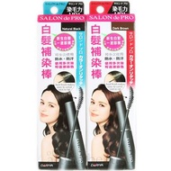 日本Dariya SALON de PRO 白髮補染棒 Gray Hair Color Retouching Stick 15ml 貨裝