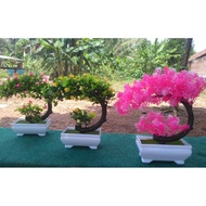Artificial Bonsai Tree