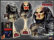 hottoys predator 胸像 1:4  bust