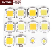 FOF 1pc cob led light dc led bulb chip on board 10W 20W 30W 50W 70W 100W 2 colors FOO