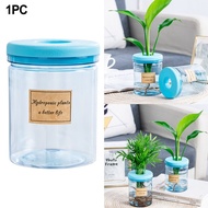BIG SALE| Transparent  flower pot plastic imitation glass small flower pot