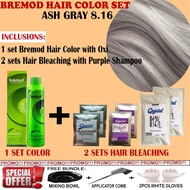 ASH GRAY - Bremod Hair Color Set