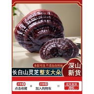 （💕💕精品现货）灵芝野生 材长白山紫灵芝可切片打粉灵芝泡（联系客服） 7Y59