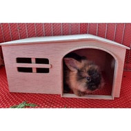 Rabbit house