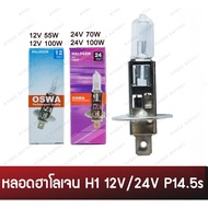 Fast Delivery Bulb H1 12V 55W/12V 100W/24V 70W/24V 100W Halogen P14.5s