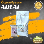 5KG - Premium WHITE Adlai Rice/Grits from Bukidnon (250/KG)