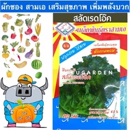 AAA 🇹🇭 รวมผักสามเอ ผักซอง สามเอ ผักสลัด 10 กว่าชนิด กรีนโอ๊ค เรคโอ๊ค คอส สลัด ผักนอก เมล็ดพันธุ์ 3A 