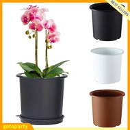[Gotoparty] Slotted Orchid Flower Garden Inner Outer Pot Planter Tray Tabletop Ornament