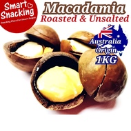 1kg - Roasted Macadamia in Shell - Kacang Macadamia - Roasted Macadamia - Macadamia Nuts Roasted