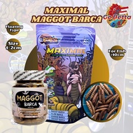 [SG Seller] MAGGOT BARCA – Dried BSF Maggot Grade A with Spirulina & Squid Ink Pellet Feed for Chann