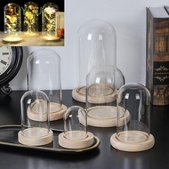 SUYOU Jar Plants Transparent Bottle Glass Vase Terrarium Glass cloche