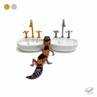 [Reptile Special Attack Team] 24 Hours Gecko Washbasin Shape Water Cup|Reptile Landscaping|Gecko Lan