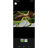 Handbag Hijau MK (new)