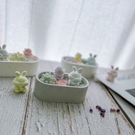 【擺飾擴香小物】仙人掌多肉植物盆栽+小兔子 / 附水晶
