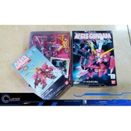 Elementary School Aegis Gundam