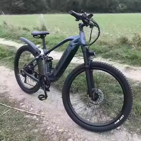 SYR03 Electric bike 1000W motor 48V45Ah removable lithium battery e-bike 42km/h commuting leisure ri