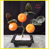 ♞,♘Kiat kiat Money Tree Charms Display