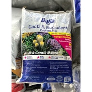 Cacti & Succulent Potting Mix