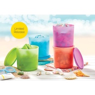 Summer Go Round Tupperware Tupperware Container Food Container