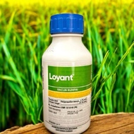 Loyant 100% Original Racun Rumpai Padi  BASF 500ml | Racun Sawah Padi Terbaik Kawal Rumpai Daun Leba
