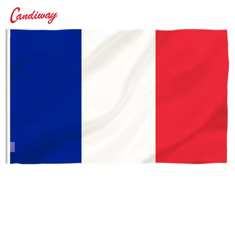 Oriflamme 3ftx2ft France Flag national flags Super-Poly hanging Indoor Outdoor French FLAG Country B