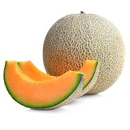 Benih Rock Melon (Tembikai Batu) -10 biji - Seeds of Rock Melon - 10pcs