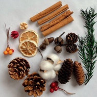 Natural Pinecone Dried Flowers DIY Christmas Tree Decor Photography Acorn Cotton Floral Wreath Bouqu