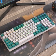 【Beverly】-ZIYOULANG Mechanical Keyboard 100 Keys 98% Layout Mechanical Keyboard Wired Type C RGB Num