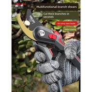 Pruning Shears Branch Shears Delisi Electrical Pruning Shears Branch Special Shears Branch Pruning S
