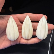 Starfruit cup holder for Jambul, shama, HB cage - Bird cage accessories (Bone)