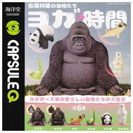 全新 日版 Kaiyodo 海洋堂 動物 扭蛋 Capsule Q Museum 佐藤邦雄 Sato Kunio's Animal 瑜伽 時間 Yoga time 猩猩 北極熊 青蛙 熊貓 八哥 Go