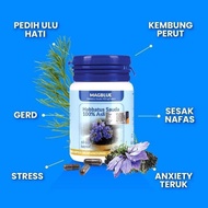 MAGBLUE HABBATUS SAUDA