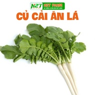 Easy to Grow Leafy Radish Seeds, Yielding h2t farm