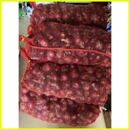 ℗ ⚽ ✢ SIBUYAS NA PULA LOKAL RED ONION PER KILO