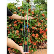 ARTEMIS Lure Fishing Rod (KATEKI)