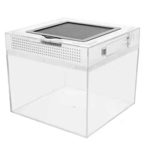 Tarantula Habitat Bowl Terrarium House Breeding Tank Spider Feeding Reptile Enclosure Container Cage