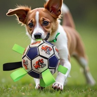 JIEMEISI Dog Outdoor Toy Ball Dog Boredom Relief Football Corgi Dog Large Dog Interactive Ball Puppy