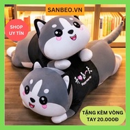 Stuffed animals, teddy bears, cute cat pillows, plushie, plushie pillow, cat plushie, bear plushie, 