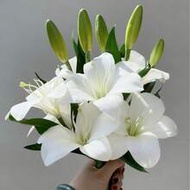 5pcs/3/2/1pc (Pink/White) 37cm/14.57in Artificial Lily Flowers, Long Stem Artificial Stargazer Lily,