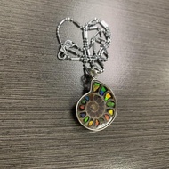 Ammonite Fossil DIY Pendant + Necklace + Free Random Fortune Oil + Free Bracelet 天然顶级拼接斑彩螺设计款吊坠+项链25
