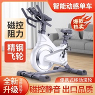 Magnetic Control Bike Smart Exercise Bike Home Fitness Bike Silent Exercise Bike Indoor Exercise Bik