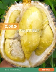 Durian montong utuh Cane Singaraja Bali 2,5kg