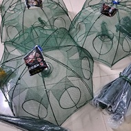 Combo of 3 umbrella cages with 3 bait packs, 6 doors, 8 doors, 12 doors, 16 doors. used for shrimp, 